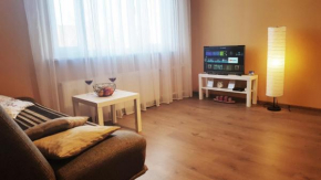 Birch view apartment in Jelgava
